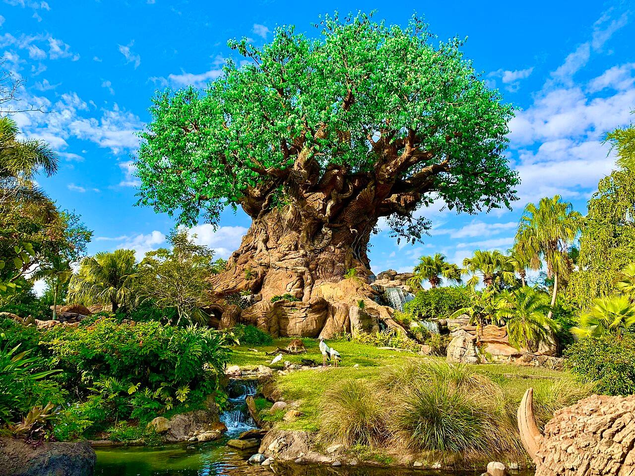 Disney Animal Kingdom Orlando - 13 miles away
